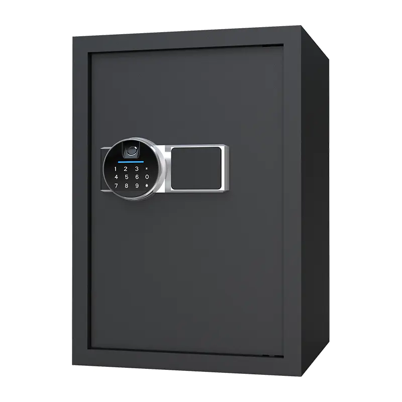 Cofre doméstico biométrico BS0150 48L